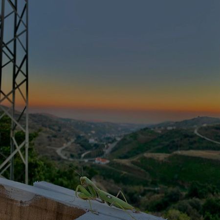 Casa Rural Malaga Monkey Love Con Jacuzzi Iznate Eksteriør bilde